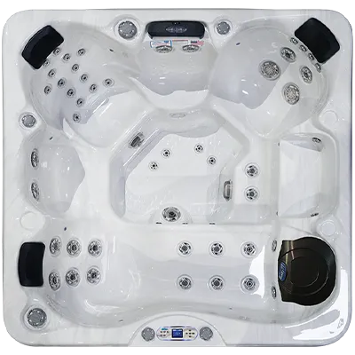 Avalon EC-849L hot tubs for sale in Tulare